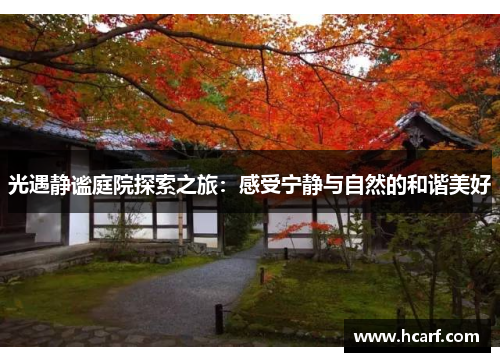 光遇静谧庭院探索之旅：感受宁静与自然的和谐美好
