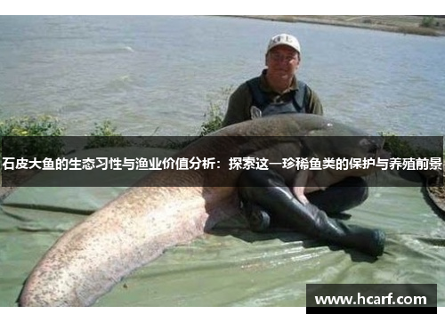 石皮大鱼的生态习性与渔业价值分析:探索这一珍稀鱼类的保护与养殖前景 石皮大鱼的生态习性与渔业价值分析:探索这一珍稀鱼类的保护与养殖前景